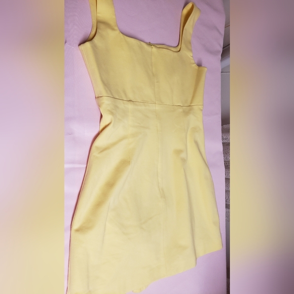 The Elliat Rays Mini Dress - Picture 5 of 7